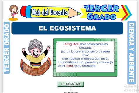 Tercero de primaria o tercer grado. CIENCIA Y AMBIENTE - Tercer Grado de Primaria -- 34 FICHAS