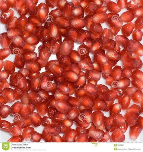 Drinking pomegranate juice is also good if you have. Pomegranate Seeds stock image. Image of edible, macro - 3593937