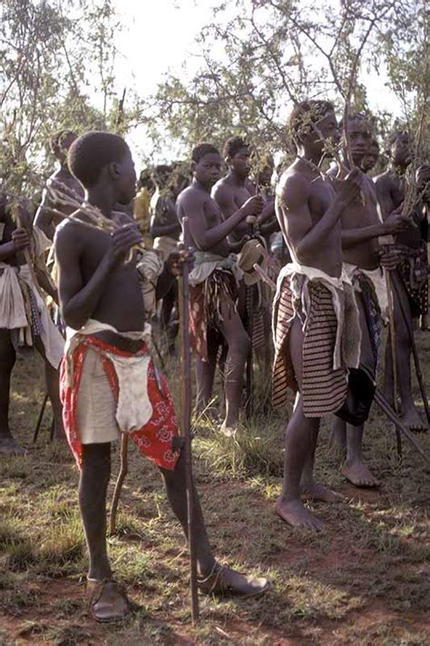 Boys With Lusekwane Incwala 1970 First Fruits Ceremony Swaziland