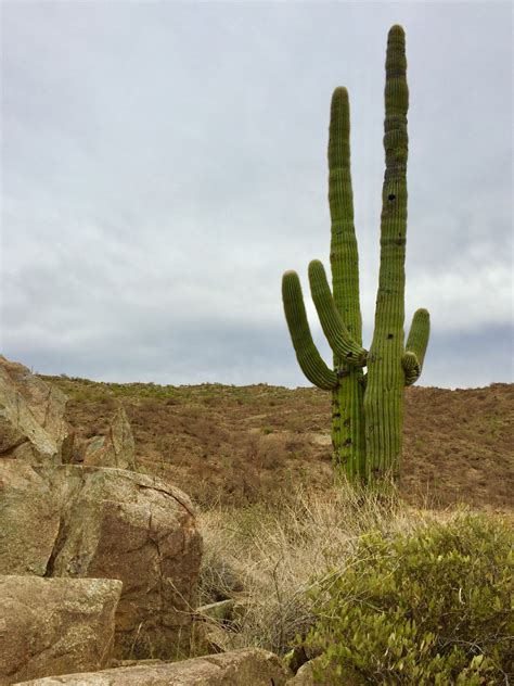 Top 20 Black Canyon City, AZ condo and apartment rentals from $62/night