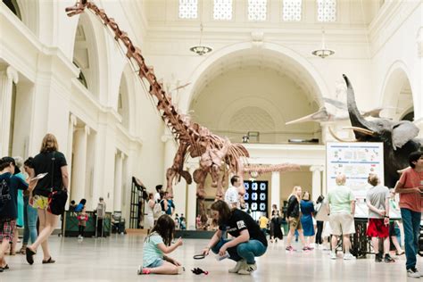 The Field Museum In Chicago Find Natural History Exhibits