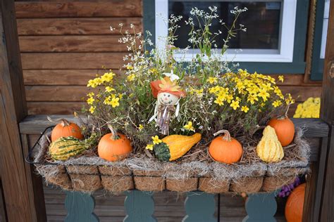 Fall In Love With These Window Box Decorating Ideas Fall Window