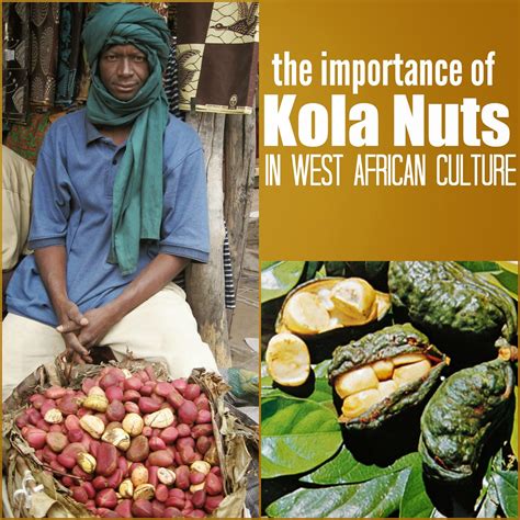 Maries Pastiche The Importance Of Kola Nuts In West African Culture