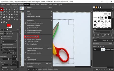 Como Recortar Uma Imagem Photoshop Paint E GIMP