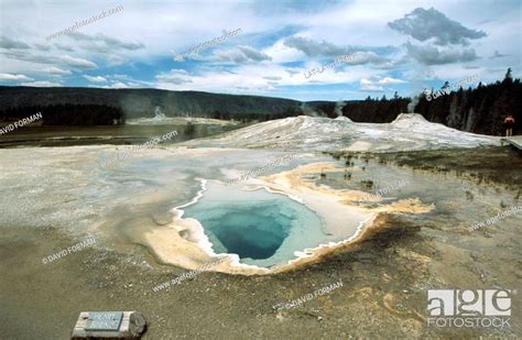 Yellowstone National Park Is The Centerpiece Of The Greater Yellowstone