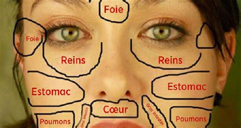 Carte Du Visage Chinoise Quand Les Problèmes De Peau Révèlent Létat Des Organes Vitaux Du