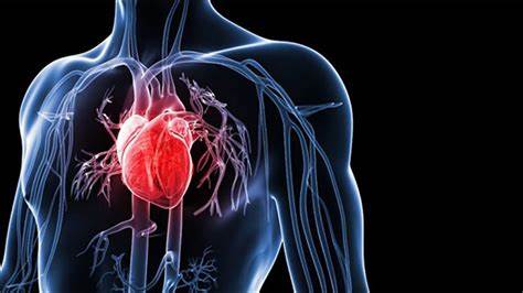 Гипертензия артериальная и диета Вторичная артериальная гипертония - Гипертония: симптомы и лечение Вторичная артериальная гипертония - Гипертония: симптомы и лечение Гипертензия артериальная и диета