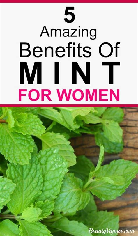 5 Amazing Benefits Of Mint For Women Coconut Health Benefits