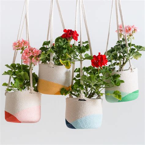 20 Stylish Hanging Planters For Small Space Dwellers Living In A Shoebox