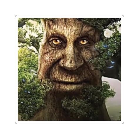 Wise Old Oak Tree With A Stern Facial Expression Square Etsy