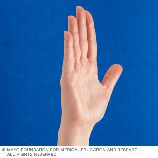 Slide Show Hand Exercises For People With Arthritis Hand Exercises