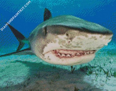 Scary Shark 5d Diamond Painting