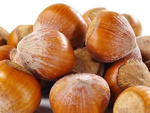 Hazelnuts Filberts In Shell By The Pound Nuts Com