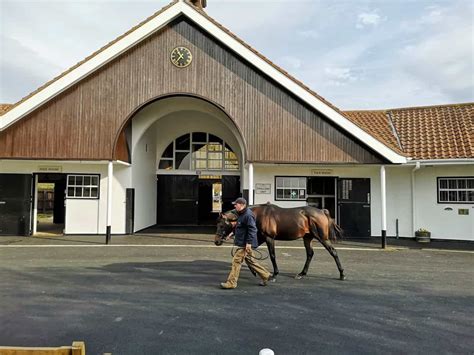 Discover Newmarket Home Of Horseracing Plus Discount Code Mummy