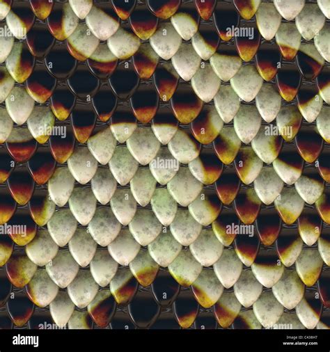 Illustration Of Snake Reptile Scales Background Texture Stock Photo Alamy