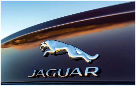 Learn more about the evolution of this classic symbol today! Jaguar Logo Meaning and History, latest models | World ...