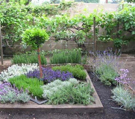 How To Make An Herbal Knot Garden Herb Garden Design