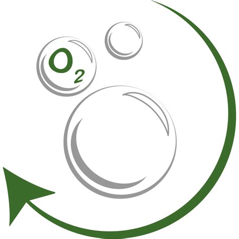 Ciclo Del Oxígeno Concepto Características Y Etapas