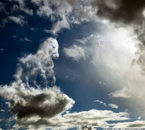 Horse Cloud Clouds Angel Clouds Sky And Clouds