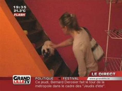 Chenil, pension, garde à domicile, visite, promenade. La garde d'animaux à domicile - YouTube