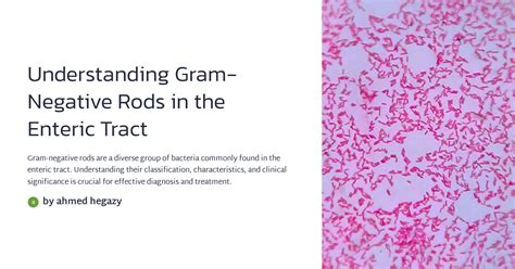 Understanding Gram Negative Rods In The Enteric Tract