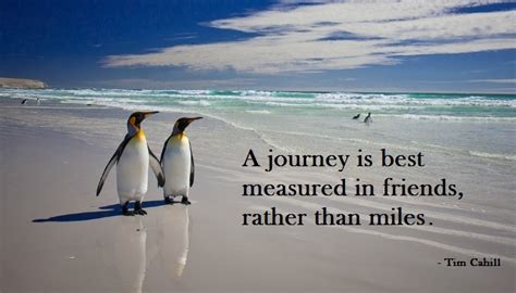 But, i like it that way. Travel Buddy Quotes. QuotesGram