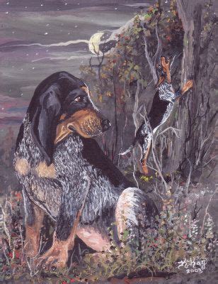 Learn how to draw coon dog pictures using these outlines or print just for coloring. bluetick hunting painting | Bluetick coonhound, Coonhound ...