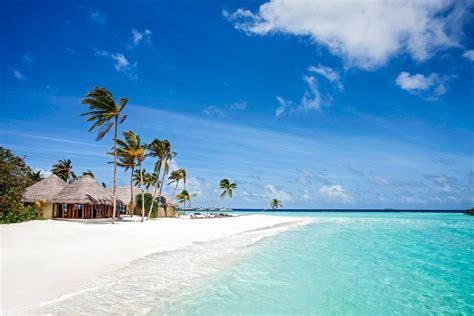 Der wird dir sagen, was du tun sollst! Weißer Strand und ein Haus am Meer - Malediven Insel ...