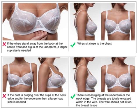 Are You Wearing The Right Bra Size Bra Fitting