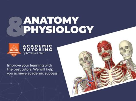 Anatomy And Physiology Tutor In Nyc Ny Smart Start