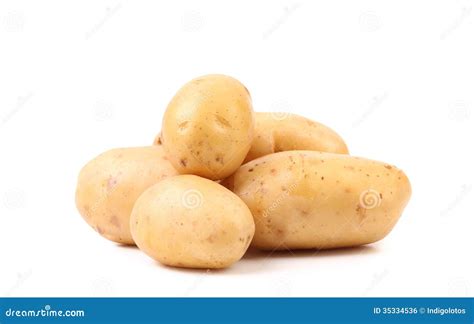 Fresh Potatoes Stock Photo Image Of Harvest Fresh Pile 35334536