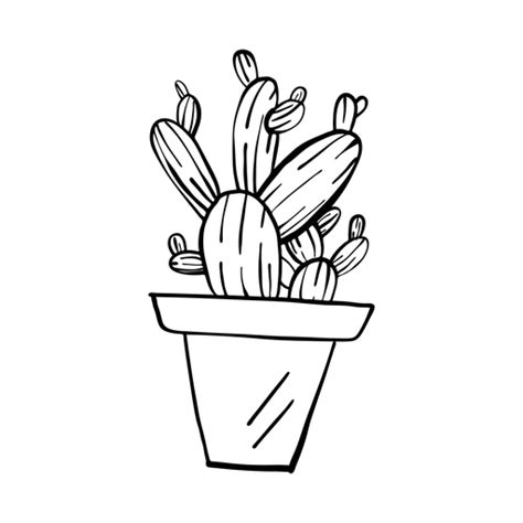 Cactus pot thorn sketch #AD , #AFF, #SPONSORED, #pot, #thorn, #sketch, #Cactus | Cactus drawing ...