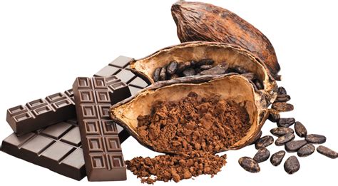 Cacao With Chocolate Png Image Purepng Free Transparent Cc0 Png