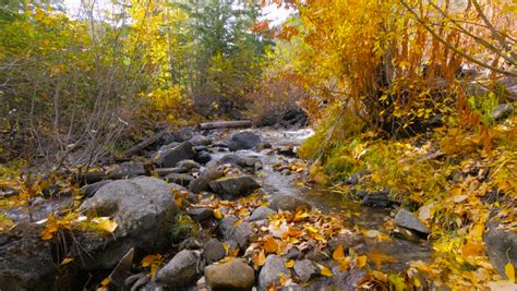 Mountain River Among Large Boulders In The Autumn Cool Stream In The
