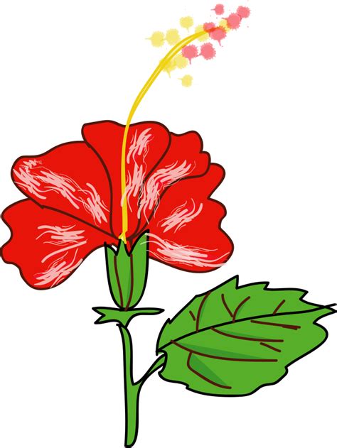 Hibiscus Clip Art Free