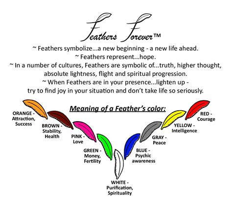 Since there are as many different types of feathers as there are birds, the meanings behind feather tattoos can change depending on the wearer's intention. Silly Parrot, FEATHERS FOREVER COLLECTION | Feather ...