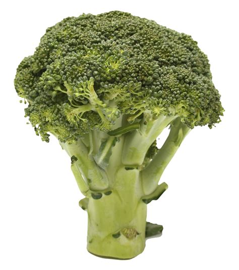 Broccoli Png Transparent Image Png Mart