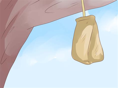 Jun 14, 2021 · one excellent way to get rid of wasps is with vinegar. How to Get Rid of a Wasp's Nest | Wasp nest, Wasp traps ...