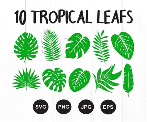 Tropical Leaves Svg Bundle Tropical Leaf Svg Palm Leaves Etsy