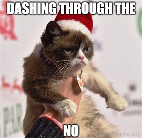 50 Most Funniest Grumpy Cat Memes Funny Pictures