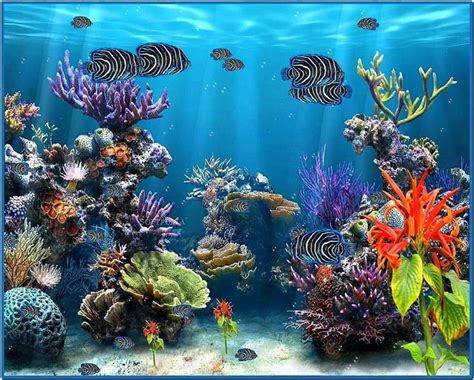 Fish Aquarium Screensaver Free Download Windows 7 Wallpaperist