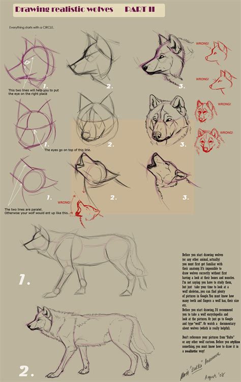 How To Draw Wolf Puppies Wolf Cubs Step By Step Drawi