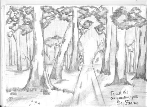Easy Forest Drawing At Explore Collection Of Easy