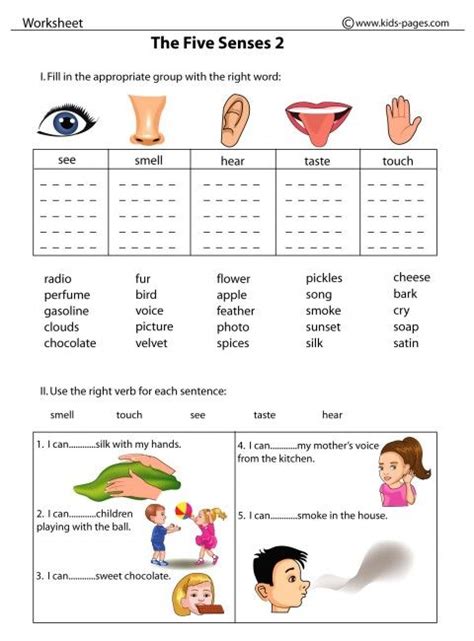 All worksheets come with an answer key. The Five Senses 2 worksheet | Five senses worksheet ...