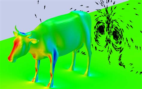 科学网—牛的空气动力学分析 沈海军的博文