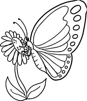 Animals are probably what children prefer to color ! Best butterfly coloring pages | Minister Coloring
