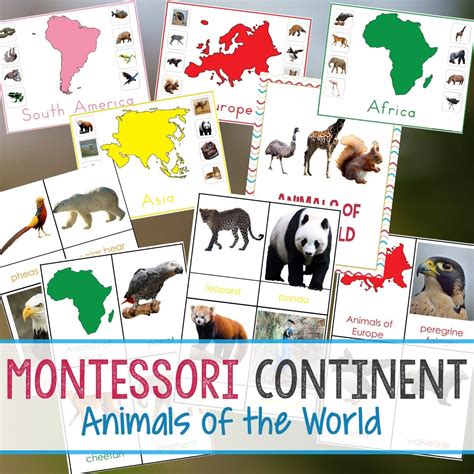 Montessori Animals And Continents Printables And Activities Free