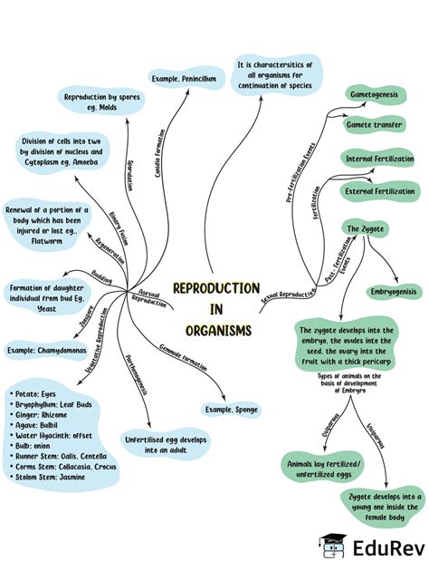 Mindmap How Do Organisms Reproduce Notes Study Subject Wise Mind The