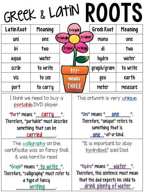 Root Words Anchor Chart
