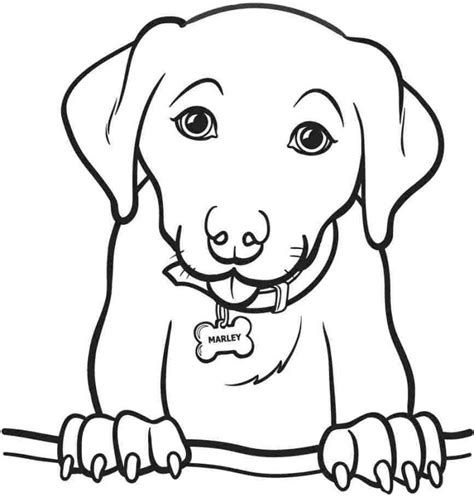 Dibujos De Perros Para Colorear 01 Puppy Coloring Pages Dog Coloring